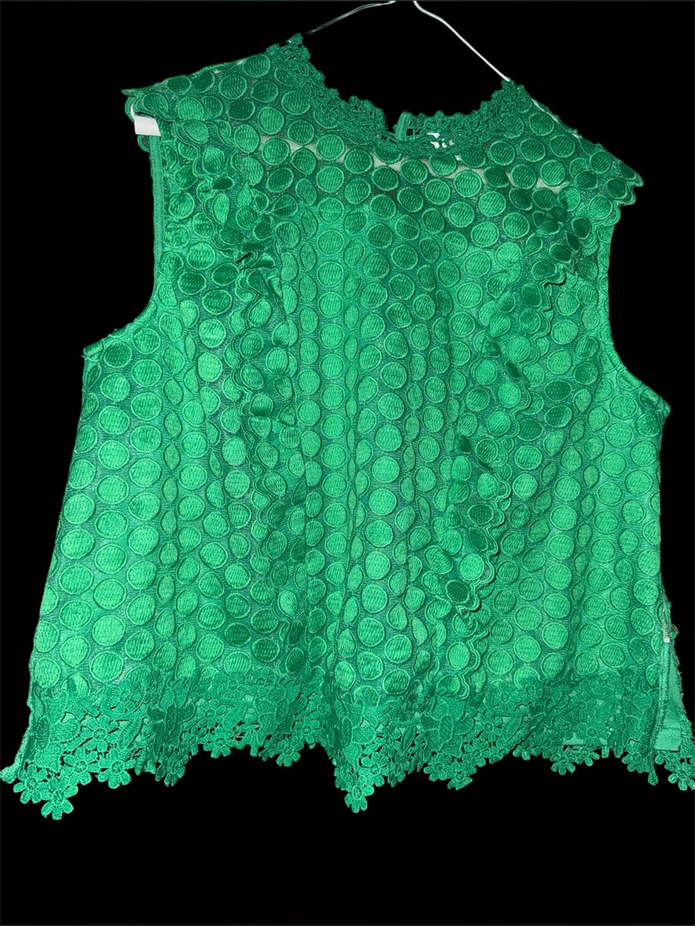 Ivy & Sage Kelly Green Textured Lace Ruffle Blouse XL Sleeveless Boutique Top
